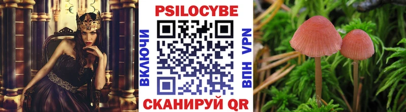 Галлюциногенные грибы ЛСД Закаменск